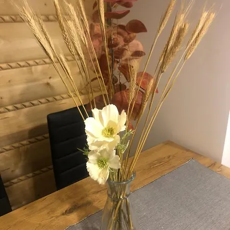 U Bizioma 木屋 穆扎希赫尔